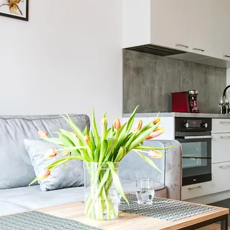 מלון דירות Symphony Square ורוצלב